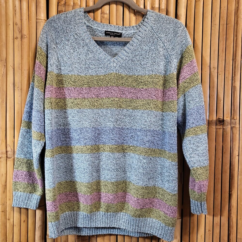 Carolyn Taylor V Neck Sweater 1X Light Blue w/Multi Stripe